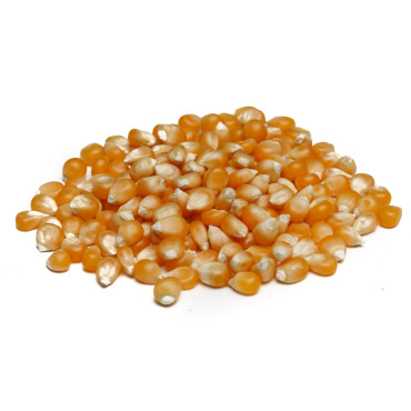 Popcorn - ziarna kukurydzy