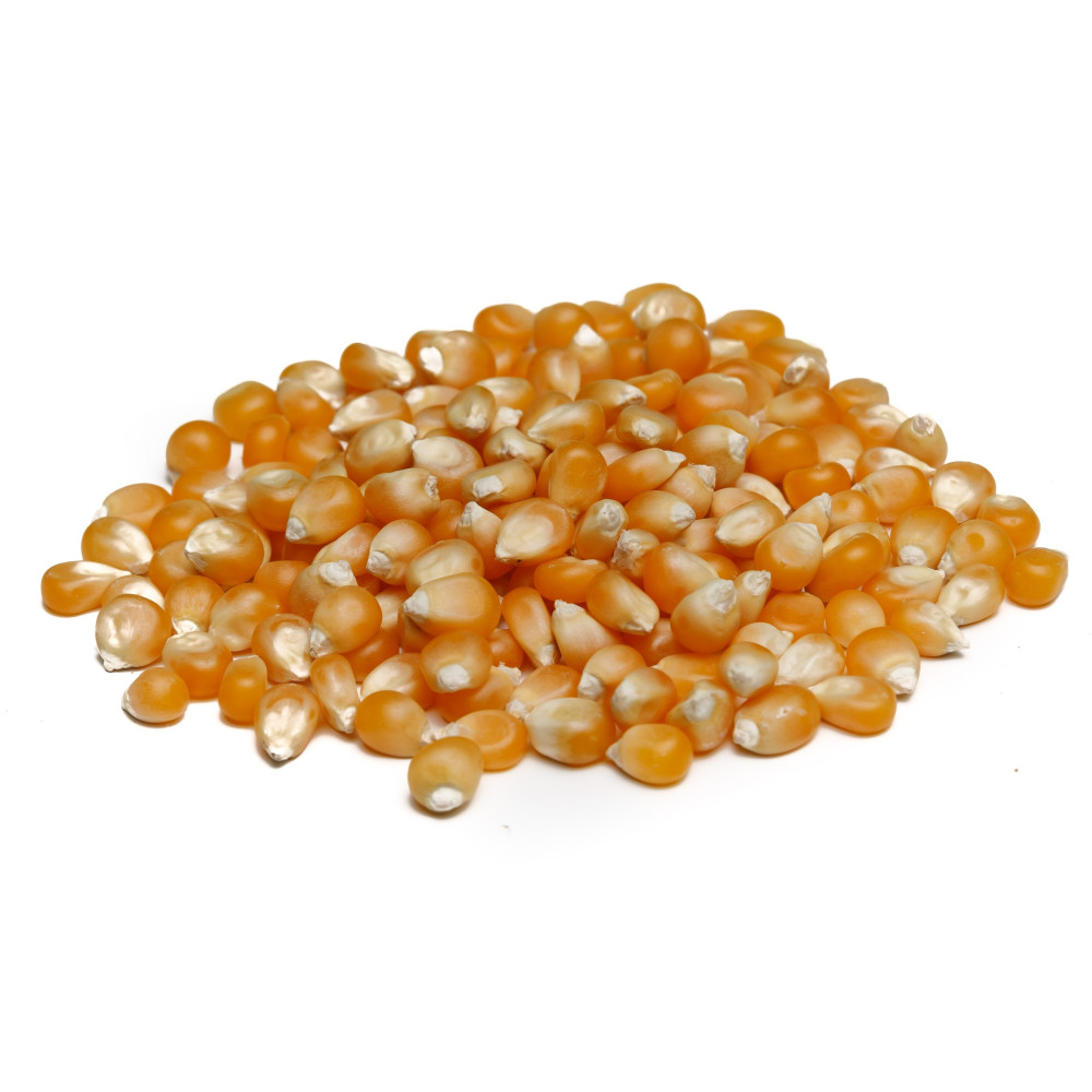 Popcorn - ziarna kukurydzy