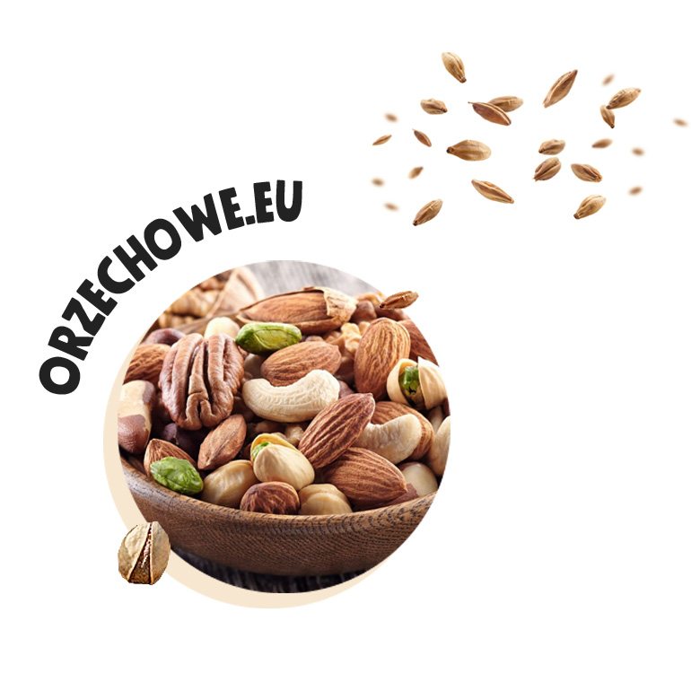  test.orzechowe.eu 